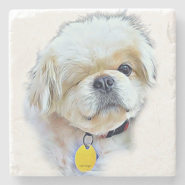 Posavasos De Piedra Peter Rottentail Stone Coaster (Anverso)