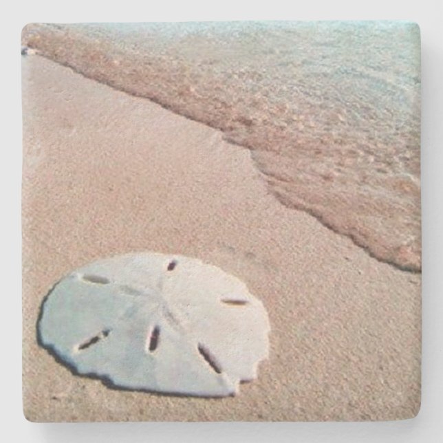 Posavasos De Piedra Piedra caliza de la playa de Sandollar (Anverso)