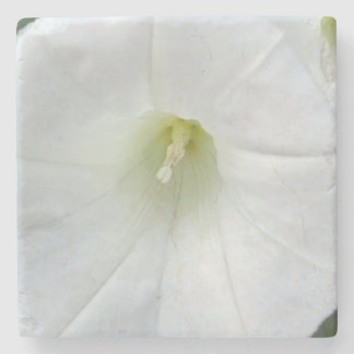 Posavasos De Piedra Piedra Coster Flor Blanca