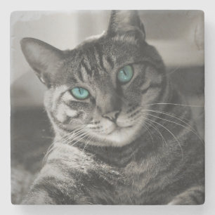 Posavasos De Piedra Piedra de retrato de gato atigrado de alma de zafi
