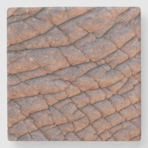 Posavasos De Piedra Piel elefante