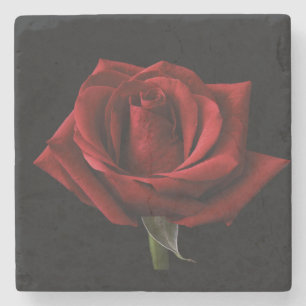 Posavasos De Piedra Pilar de lanzamiento de rosa roja