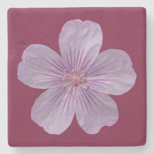 Posavasos De Piedra Pineywoods Geranium #1