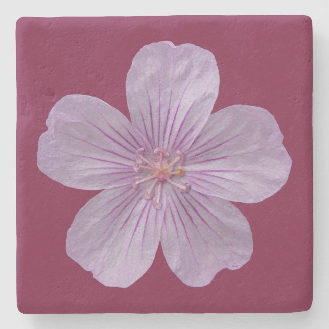Posavasos De Piedra Pineywoods Geranium #1 (Anverso)