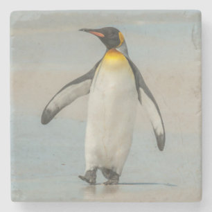 Posavasos De Piedra Pingüino caminando por la playa