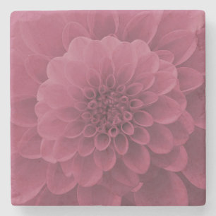 Posavasos De Piedra Pink Dahlia