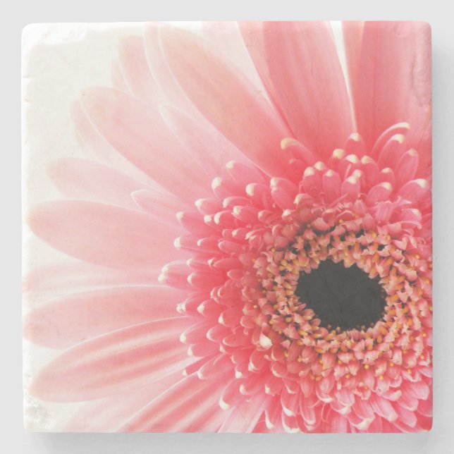 Posavasos De Piedra Pink Gerbera Daisy (Anverso)