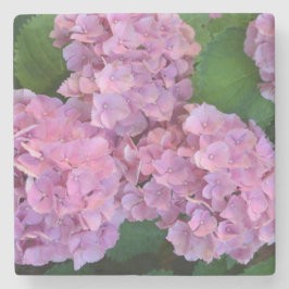 Posavasos De Piedra Pink Hortensia hidrangea flores