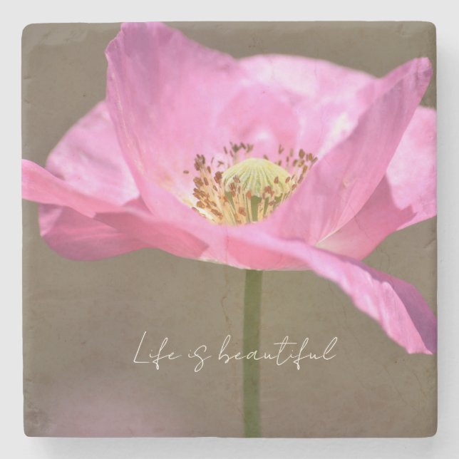 Posavasos De Piedra Pink Iceland Poppy Flower (photography by me) (Anverso)