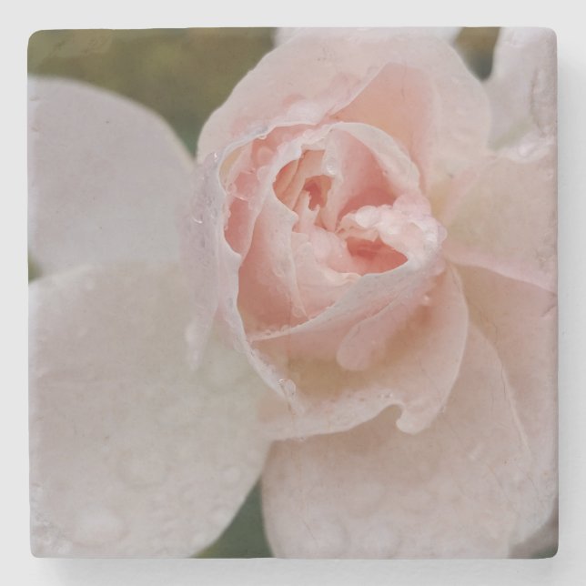 Posavasos De Piedra Pink Rose with Raindrops (Anverso)