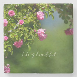 Posavasos De Piedra Pink Roses Floral (photography by me)