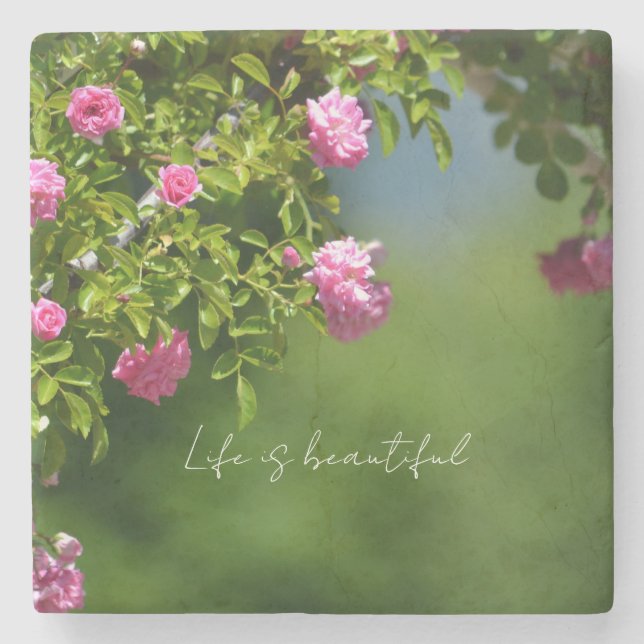 Posavasos De Piedra Pink Roses Floral (photography by me) (Anverso)