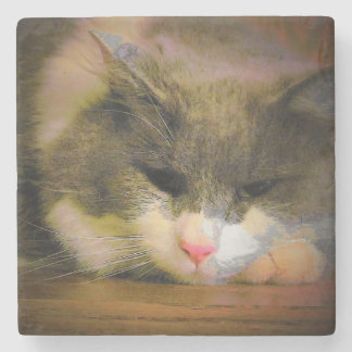 Posavasos De Piedra Pink the Cat Sullen Mood Sad Kitty