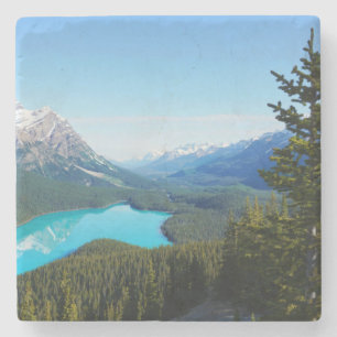 Posavasos De Piedra Pinos del lago Blue Mountain en Canadá