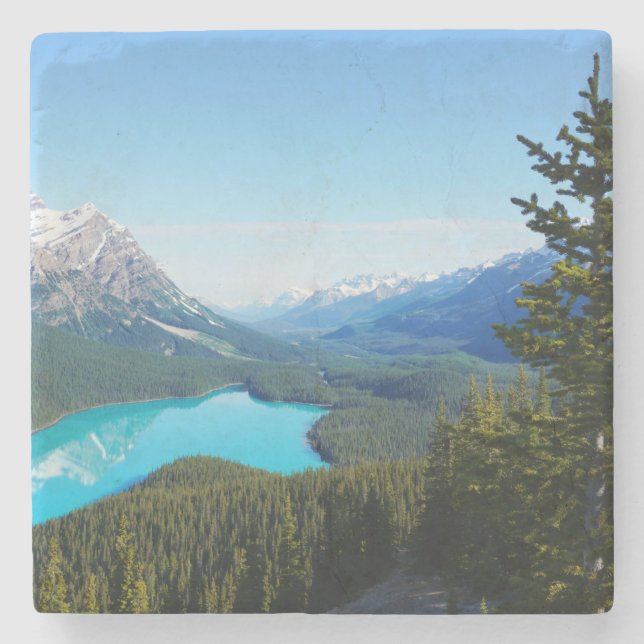 Posavasos De Piedra Pinos del lago Blue Mountain en Canadá (Anverso)