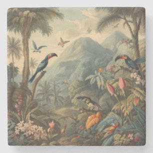 Posavasos De Piedra Pintura Botánica Vintage Toucan Selva Tropical Jun