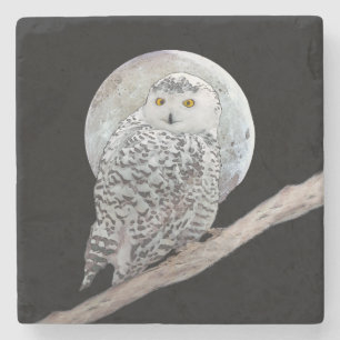 Posavasos De Piedra Pintura de búho y luna de nieve - Arte original d