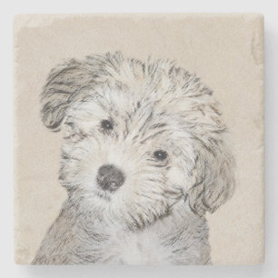 Posavasos De Piedra Pintura de cachorro habanesa - Arte de perro origi