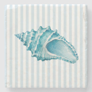Posavasos De Piedra Pintura de concha de caracol costera de conchas ma