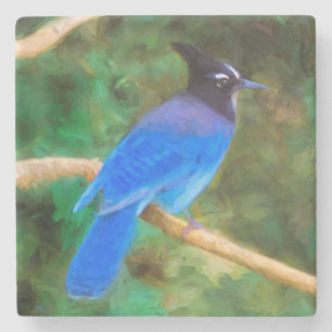 Posavasos De Piedra Pintura de Jay de Steller - Arte de pájaro origina
