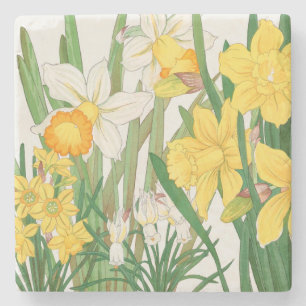 Posavasos De Piedra Pintura en bloque de madera de narciso, Tanigami K