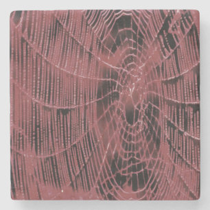 Posavasos De Piedra Pintura Resumen De Una Magenta Red De Cobardes Ros