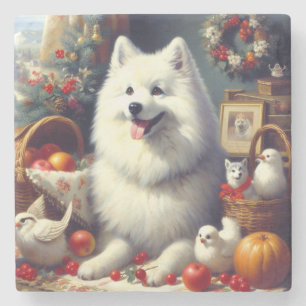 Posavasos De Piedra Pintura vintage del esquimal estadounidense