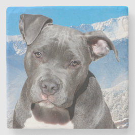 Posavasos De Piedra Pit Bull