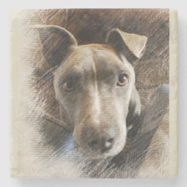 Posavasos De Piedra Pitbull