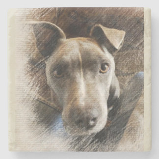 Posavasos De Piedra Pitbull