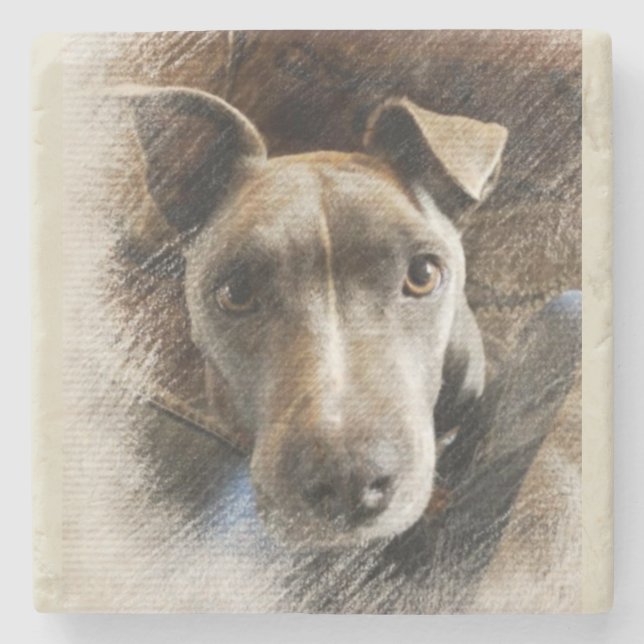 Posavasos De Piedra Pitbull (Anverso)