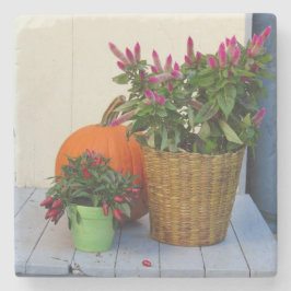 Posavasos De Piedra Planta de calabaza y pimienta - Viñedo de Martha