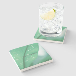 Posavasos De Piedra Planta verde pálida hojas Naturaleza Sensación de 