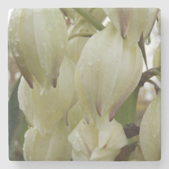 Posavasos De Piedra Planta Yucca (Anverso)