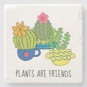 Posavasos De Piedra Plantas Amigables Suculentas Monstruo De Piedra
