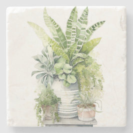 Posavasos De Piedra Plantas de Interior