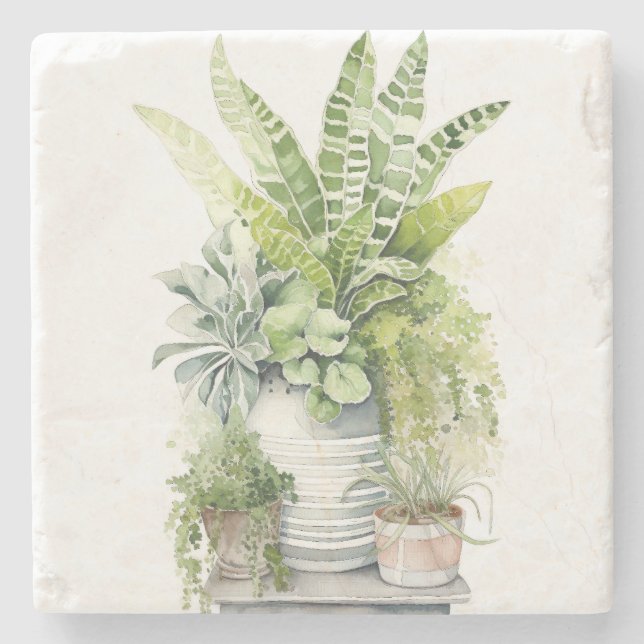 Posavasos De Piedra Plantas de Interior (Anverso)