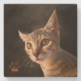 Posavasos De Piedra Plantilla de fotografía de perro de gato de person