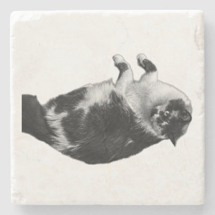 Posavasos De Piedra Plataforma de volteo de gato de ojos anchos
