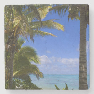 Posavasos De Piedra Playa bordeada de palmeras Islas Cook 2