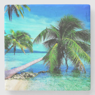 Posavasos De Piedra Playa de Isla Tropical Palm Tree