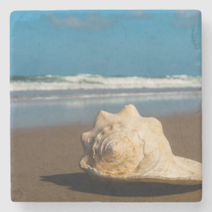 Posavasos De Piedra Playa futura