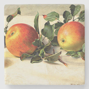 Posavasos De Piedra Plaza de manzanas lúcidas