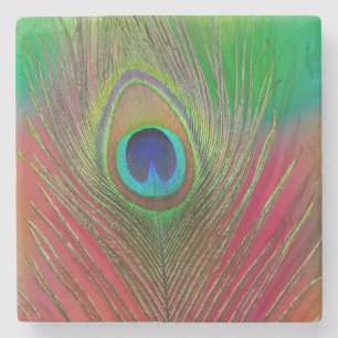 Posavasos De Piedra pluma de pavo real de cerca