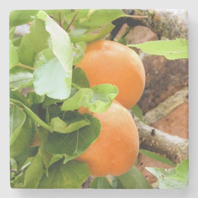 POSAVASOS DE PIEDRA PLUMS (Anverso)