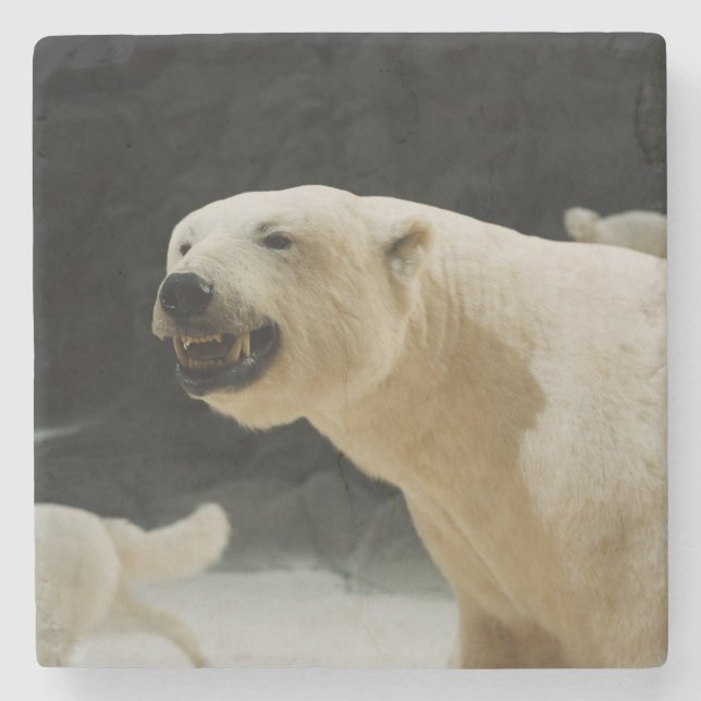 Posavasos De Piedra Polar Bear Grin (Anverso)