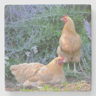 Posavasos De Piedra Pollos para tomar el sol
