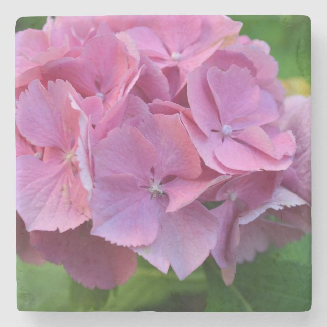 Posavasos De Piedra Pompom Rosa Hidrangea Hortensia Flor (Anverso)