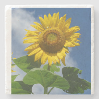 Posavasos De Piedra Portavasos de girasol