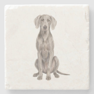 Posavasos De Piedra Posando Weimaraner Coaster de Piedra Natural